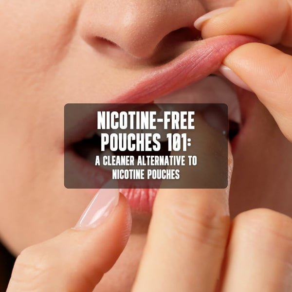 nicotine-free pouches 101